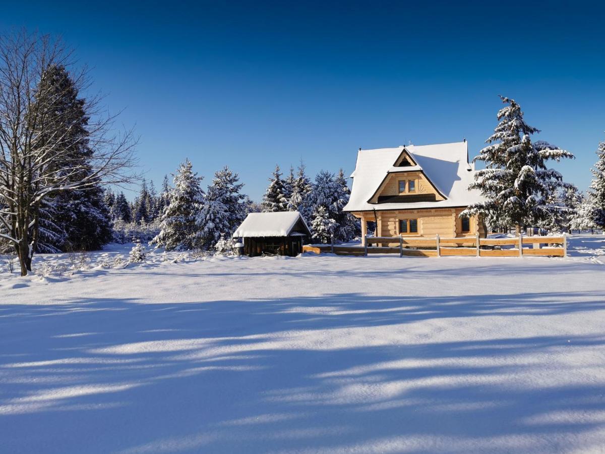 Domki Baligowka Aurelia I Maximus Zakopane Exterior photo